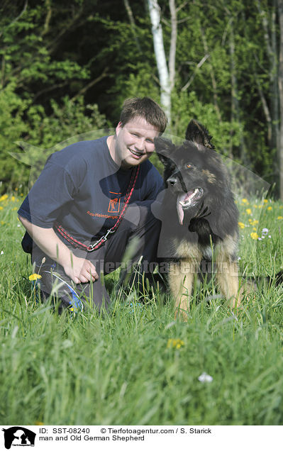 Mann und Altdeutscher Schferhund / man and Old German Shepherd / SST-08240