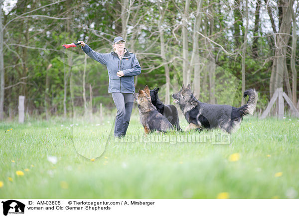 woman and Old German Shepherds / AM-03805