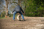 man plays with Old German Shepherd