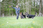 woman and Old German Shepherds