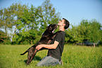 man and Olde English Bulldog