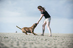 woman and Olde English Bulldog