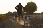 5 dogs