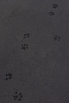 pawprints