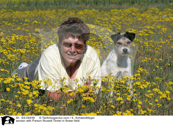 woman with Parson Russell Terrier in flower field / SS-08936