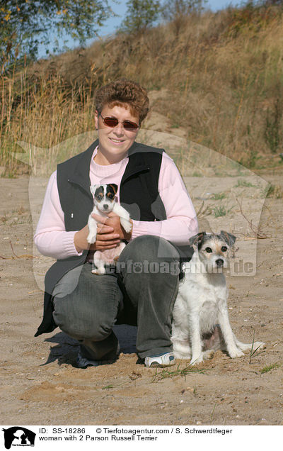 woman with 2 Parson Russell Terrier / SS-18286
