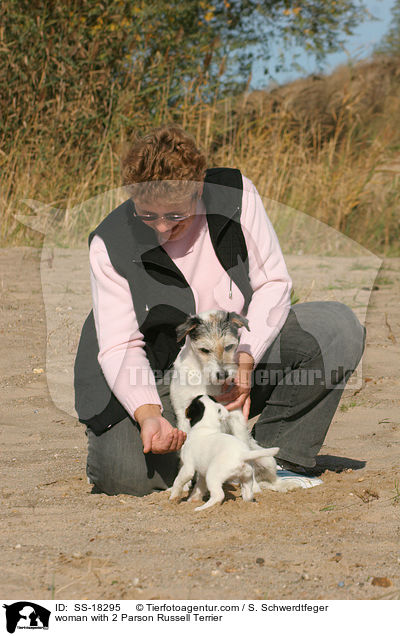 woman with 2 Parson Russell Terrier / SS-18295