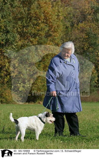 woman and Parson Russell Terrier / SS-19968