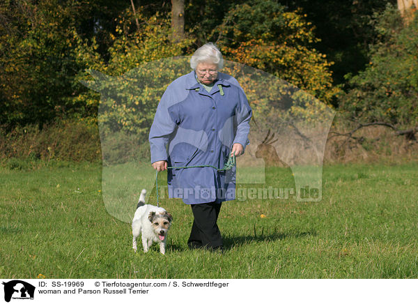 woman and Parson Russell Terrier / SS-19969