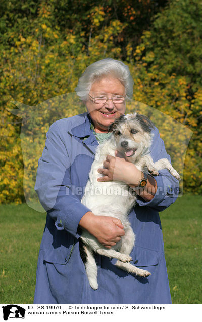 Frau und Parson Russell Terrier / woman and Parson Russell Terrier / SS-19970
