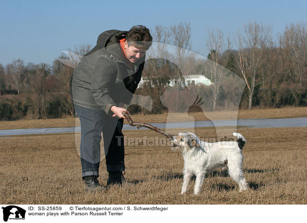 woman plays with Parson Russell Terrier / SS-25859