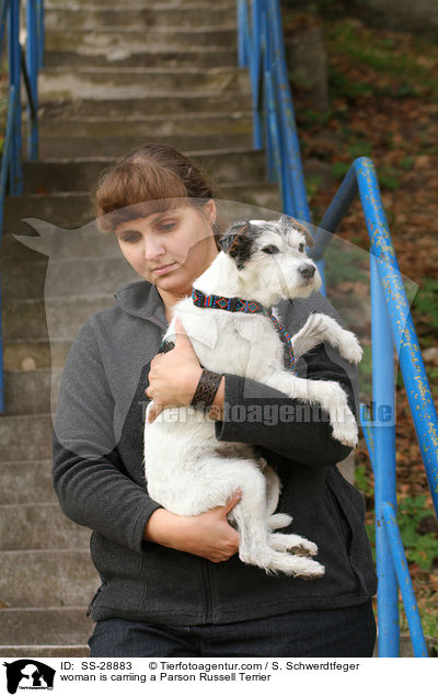 woman is carriing a Parson Russell Terrier / SS-28883