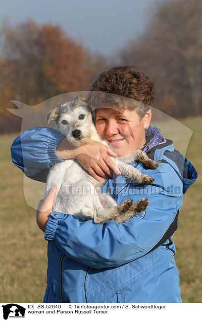 woman and Parson Russell Terrier / SS-52640