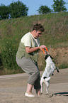playing Parson Russell Terrier