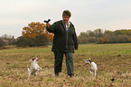 2 playing Parson Russell Terrier