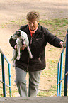 woman is carriing a Parson Russell Terrier