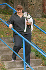 woman is carriing a Parson Russell Terrier