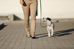 go for a walk