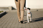 go for a walk