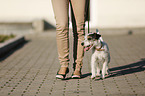 go for a walk