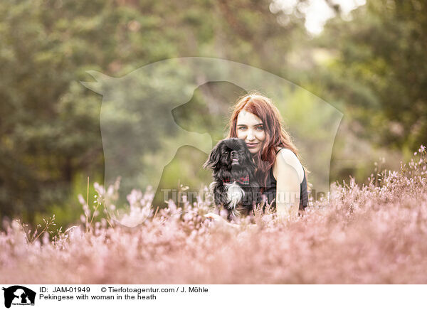 Pekingese with woman in the heath / JAM-01949
