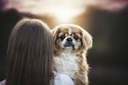 woman and Pekinese