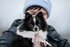 black-and-white Dwarf Spitz