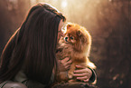 Pomeranian