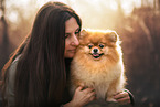 Pomeranian
