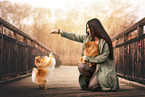 Pomeranian