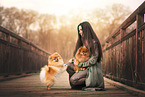 Pomeranian