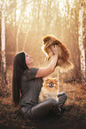 Pomeranian