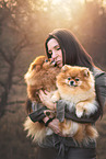 Pomeranian
