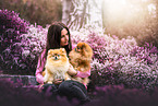 Pomeranian