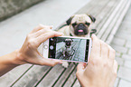woman with Pug