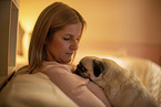 Pug in the apartment