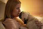 Pug in the apartment