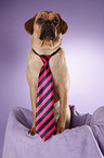 Puggle