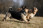 playing puggles