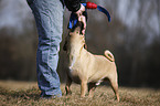Puggle