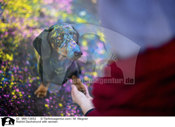 Rabbit Dachshund with woman / MW-13852
