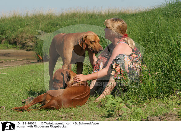 Frau mit Rhodesian Ridgebacks / woman with Rhodesian Ridgebacks / SS-16031