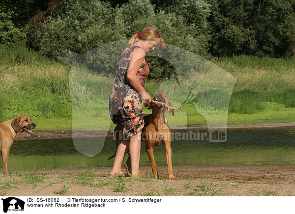 Frau mit Rhodesian Ridgeback / woman with Rhodesian Ridgeback / SS-16062