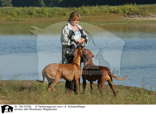Frau mit Rhodesian Ridgebacks / woman with Rhodesian Ridgebacks / SS-16180