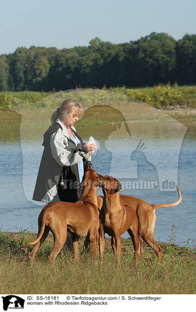Frau mit Rhodesian Ridgebacks / woman with Rhodesian Ridgebacks / SS-16181