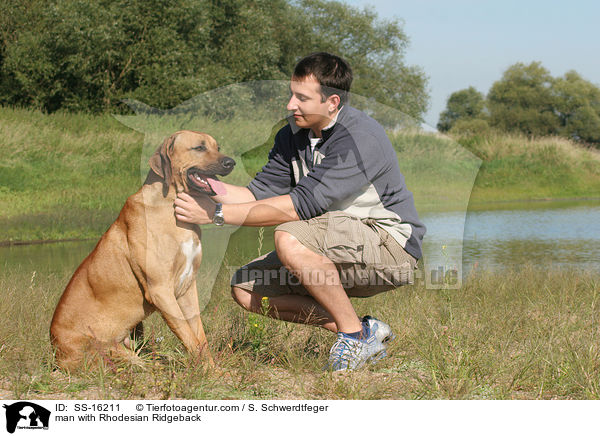 Mann mit Rhodesian Ridgeback / man with Rhodesian Ridgeback / SS-16211