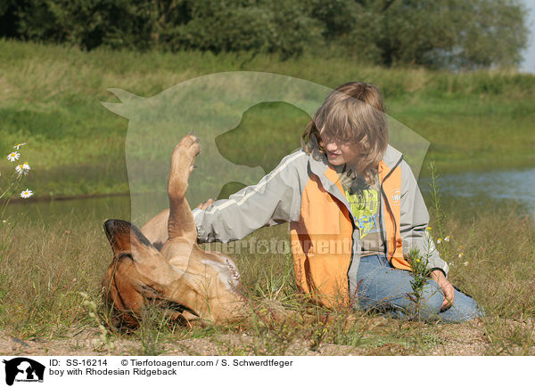 Junge mit Rhodesian Ridgeback / boy with Rhodesian Ridgeback / SS-16214