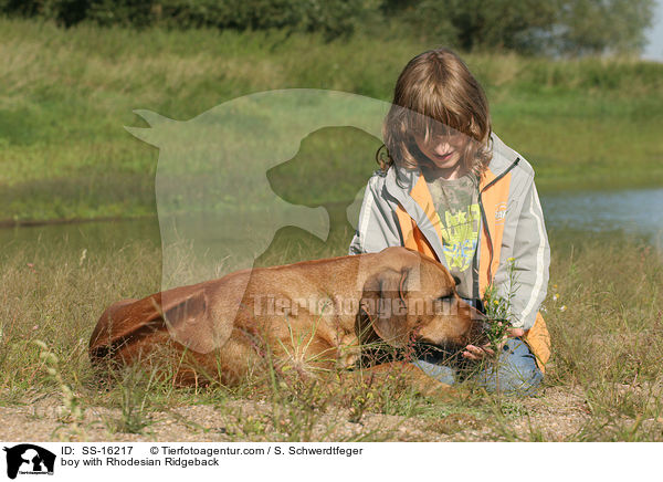 Junge mit Rhodesian Ridgeback / boy with Rhodesian Ridgeback / SS-16217