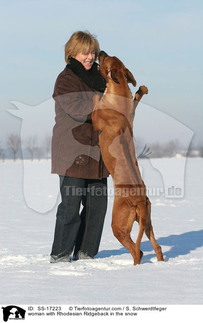 Frau mit Rhodesian Ridgeback im Schnee / woman with Rhodesian Ridgeback in the snow / SS-17223