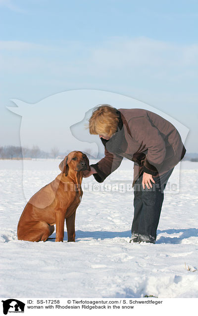 Frau mit Rhodesian Ridgeback im Schnee / woman with Rhodesian Ridgeback in the snow / SS-17258